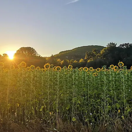 Charmante Maison Avec Piscine *